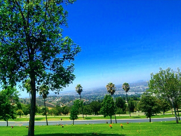 Screen Shot 2014-06-20 at 6.47.55 AM